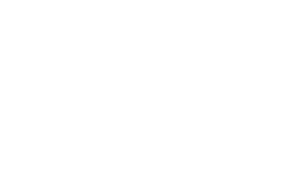 CareerVantage